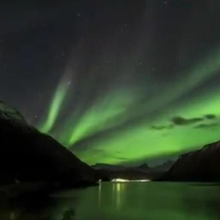 Koselig Leilighet I Narvik Sentrum 5 Soveplasser Gratis Parkering Og Gratis Internett Exterior photo