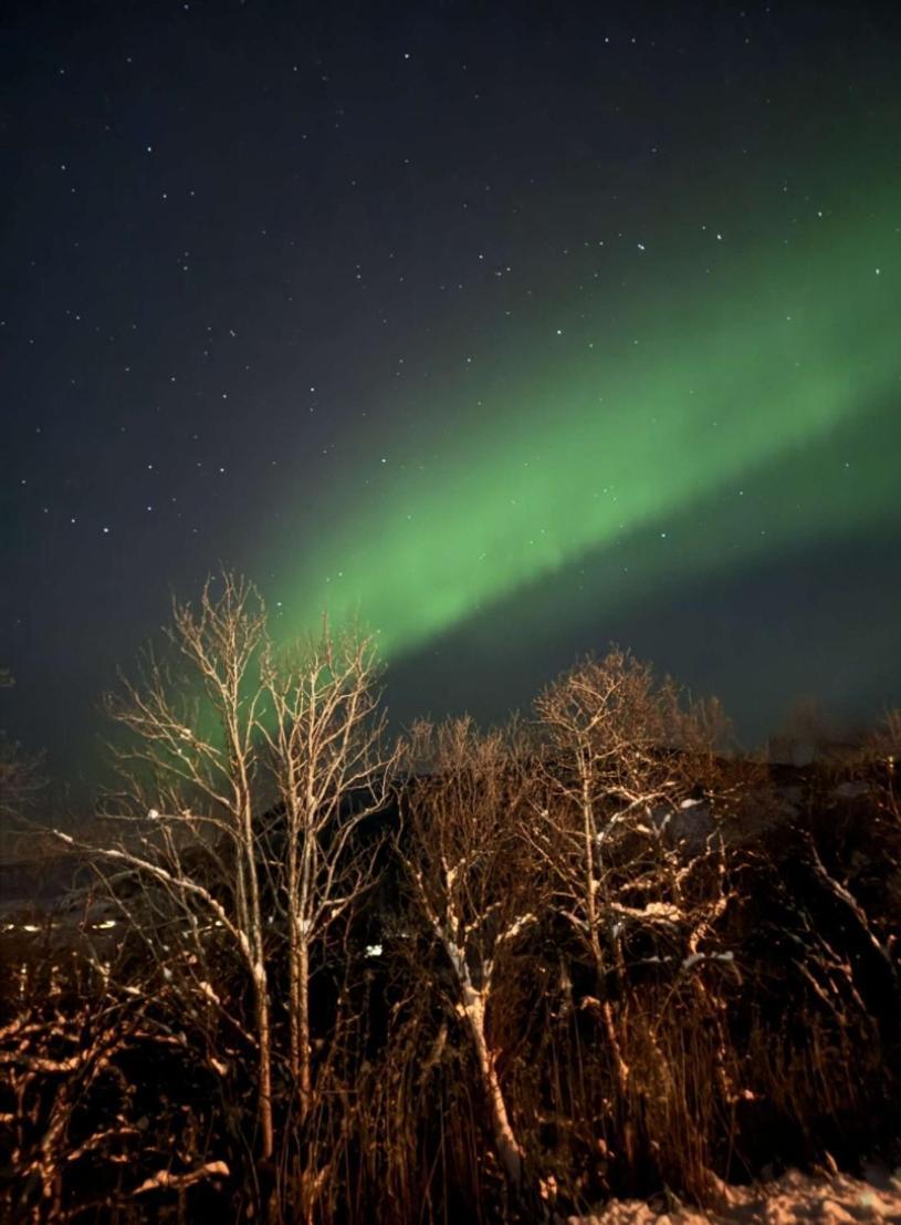 Koselig Leilighet I Narvik Sentrum 5 Soveplasser Gratis Parkering Og Gratis Internett Exterior photo