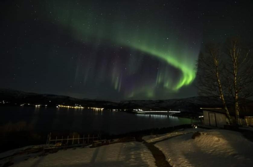 Koselig Leilighet I Narvik Sentrum 5 Soveplasser Gratis Parkering Og Gratis Internett Exterior photo